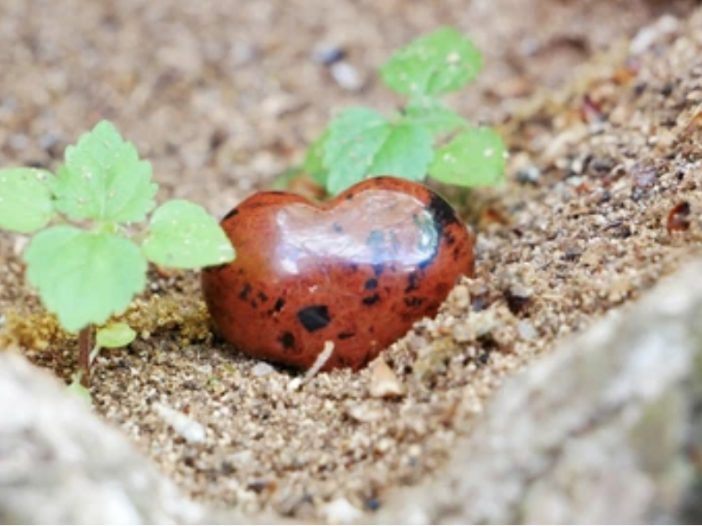 Mahogany Obsidian Heart Puff Stone in Earth with Plants for Crystal Healing